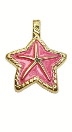 EMALIOWANA ROZGWIAZDA ZAWIESZKA CHARMS DO NASZYJNIKA COOL GIRL